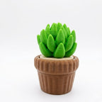 Cactus Clicker (with Mechanical Key switch) – 1 pc