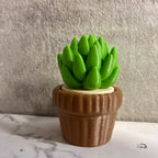 Cactus Clicker (with Mechanical Key switch) – 1 pc