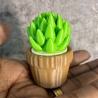Cactus Clicker (with Mechanical Key switch) – 1 pc